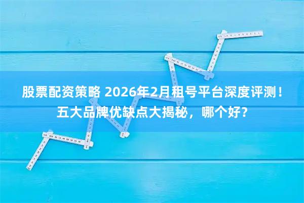 股票配资策略 2026年2月租号平台深度评测！五大品牌优缺点大揭秘，哪个好？